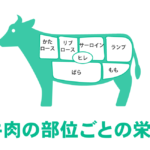 【2023年版】牛肉の部位ごとのカロリー・タンパク質・脂質